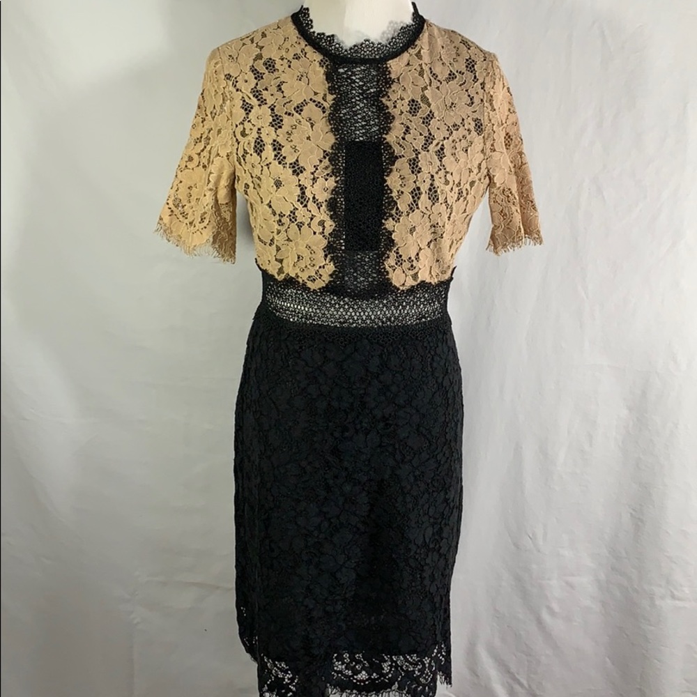 Molly Bracken Premium Lace Dress ⭐️